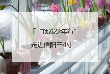 “顶端少年行”走进信阳三小