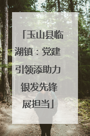 玉山县临湖镇：党建引领添助力 银发先锋展担当