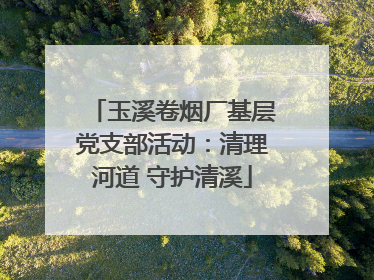 玉溪卷烟厂基层党支部活动：清理河道 守护清溪