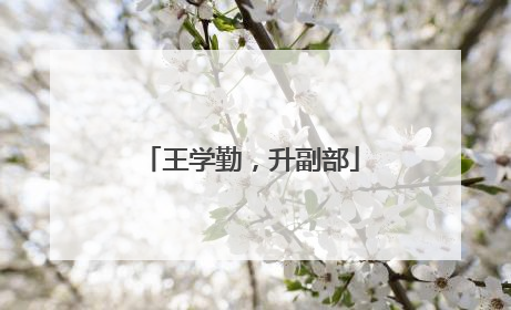 王学勤，升副部