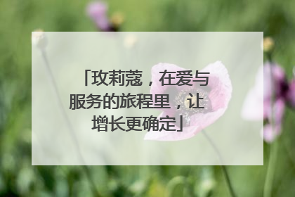 玫莉蔻，在爱与服务的旅程里，让增长更确定