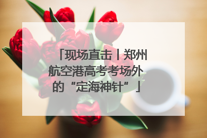 现场直击丨郑州航空港高考考场外的“定海神针”