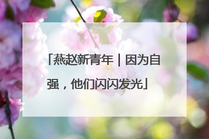 燕赵新青年｜因为自强，他们闪闪发光