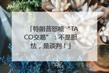 特朗普怒喷“TACO交易”：不是胆怯，是谈判！