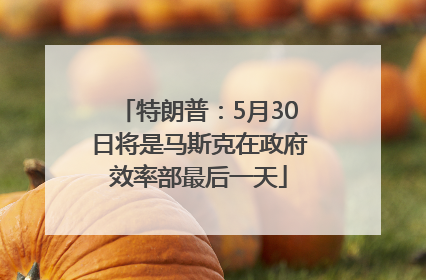 特朗普：5月30日将是马斯克在政府效率部最后一天