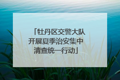 牡丹区交警大队开展夏季治安集中清查统一行动