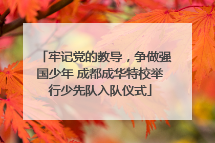 牢记党的教导，争做强国少年 成都成华特校举行少先队入队仪式