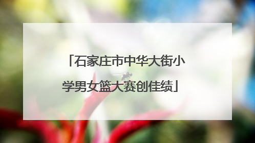 石家庄市中华大街小学男女篮大赛创佳绩