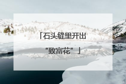 石头缝里开出“致富花”