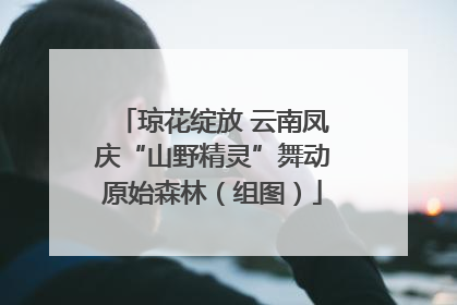 琼花绽放 云南凤庆“山野精灵”舞动原始森林（组图）
