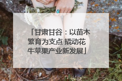 甘肃甘谷：以苗木繁育为支点 撬动花牛苹果产业新发展
