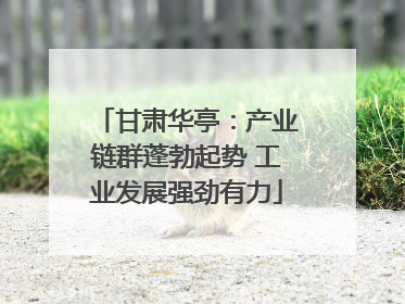甘肃华亭：产业链群蓬勃起势 工业发展强劲有力