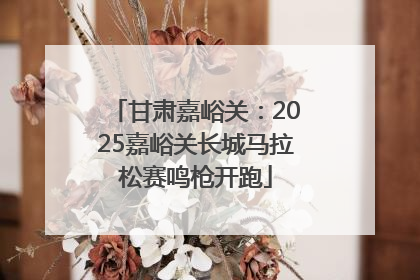 甘肃嘉峪关：2025嘉峪关长城马拉松赛鸣枪开跑