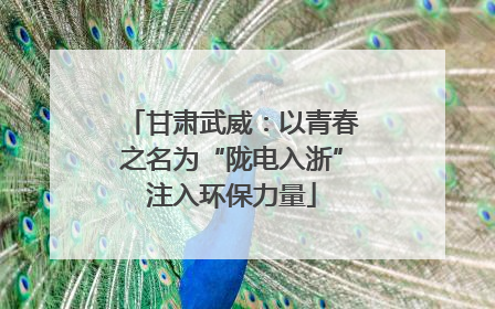 甘肃武威：以青春之名为“陇电入浙”注入环保力量