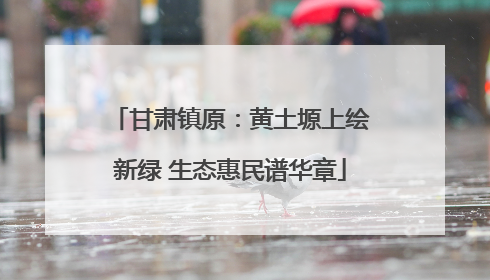 甘肃镇原：黄土塬上绘新绿 生态惠民谱华章