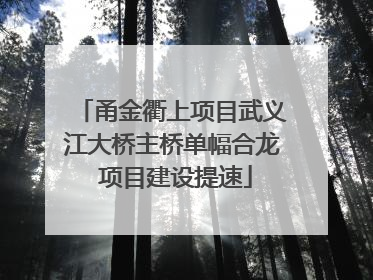 甬金衢上项目武义江大桥主桥单幅合龙 项目建设提速