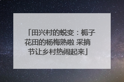 田兴村的蜕变：栀子花田的杨梅熟啦 采摘节让乡村热闹起来