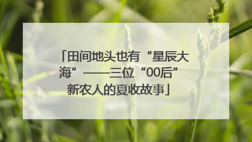 田间地头也有“星辰大海”——三位“00后”新农人的夏收故事
