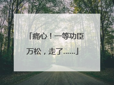 痛心！一等功臣万松，走了……