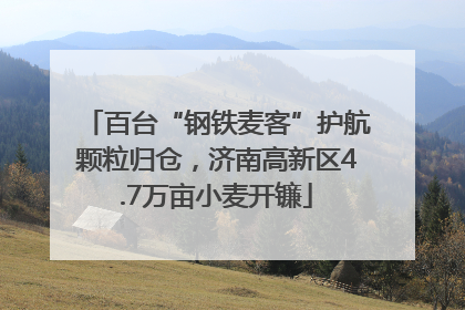 百台“钢铁麦客”护航颗粒归仓，济南高新区4.7万亩小麦开镰