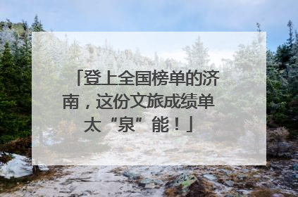 登上全国榜单的济南，这份文旅成绩单太“泉”能！