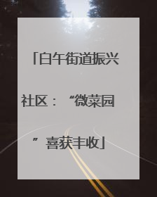 白午街道振兴社区：“微菜园”喜获丰收