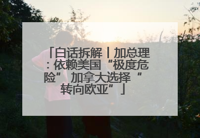 白话拆解丨加总理：依赖美国“极度危险” 加拿大选择“转向欧亚”
