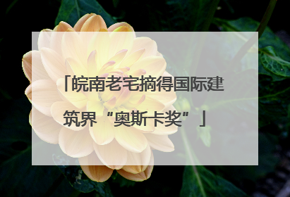 皖南老宅摘得国际建筑界“奥斯卡奖”