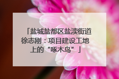 盐城盐都区盐渎街道徐志刚：项目建设工地上的“啄木鸟”