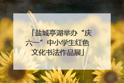 盐城亭湖举办“庆六一”中小学生红色文化书法作品展