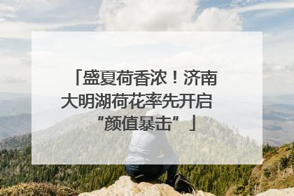 盛夏荷香浓！济南大明湖荷花率先开启“颜值暴击”