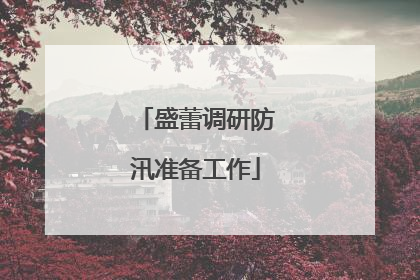 盛蕾调研防汛准备工作