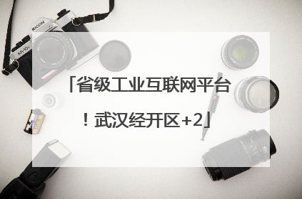省级工业互联网平台！武汉经开区+2