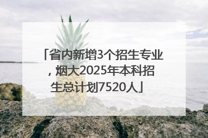 省内新增3个招生专业，烟大2025年本科招生总计划7520人