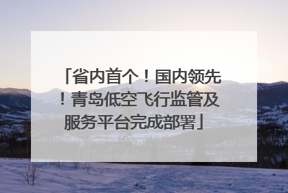 省内首个！国内领先！青岛低空飞行监管及服务平台完成部署