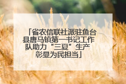 省农信联社派驻鱼台县唐马镇第一书记工作队助力“三夏”生产 彰显为民担当