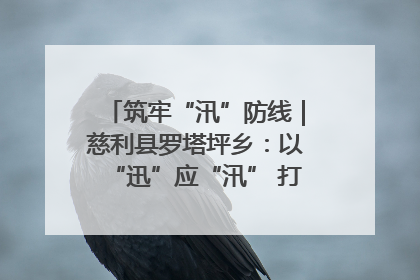 筑牢“汛”防线｜慈利县罗塔坪乡：以“迅”应“汛” 打赢暴雨防御战