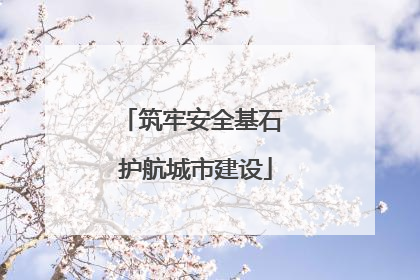 筑牢安全基石 护航城市建设