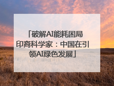 破解AI能耗困局 印裔科学家：中国在引领AI绿色发展