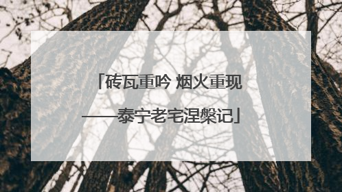 砖瓦重吟 烟火重现——泰宁老宅涅槃记
