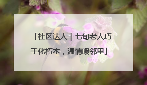 社区达人｜七旬老人巧手化朽木，温情暖邻里