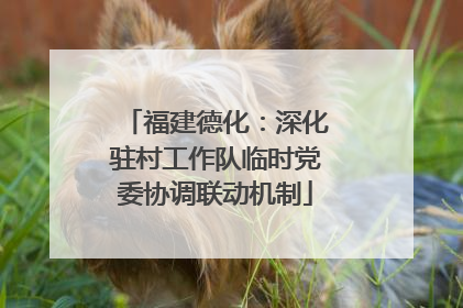 福建德化：深化驻村工作队临时党委协调联动机制