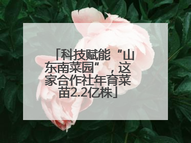科技赋能“山东南菜园”，这家合作社年育菜苗2.2亿株