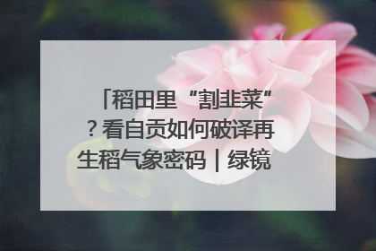 稻田里“割韭菜”？看自贡如何破译再生稻气象密码｜绿镜头·发现中国