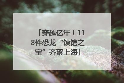穿越亿年！118件恐龙“镇馆之宝”齐聚上海