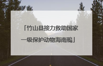 竹山县接力救助国家一级保护动物海南鳽