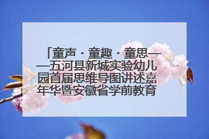 童声・童趣・童思——五河县新城实验幼儿园首届思维导图讲述嘉年华暨安徽省学前教育教研基地园项目阶段性成果展示活动