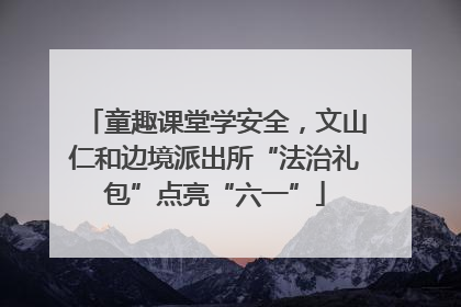 童趣课堂学安全，文山仁和边境派出所“法治礼包”点亮“六一”