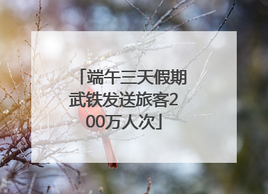 端午三天假期武铁发送旅客200万人次