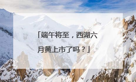 端午将至，西湖六月黄上市了吗？